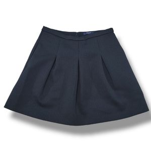 Madewell Skirt Size 4 Women's A-Line Skirt Pleated Circle Skirt Lined Casual EUC